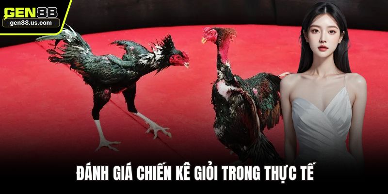 Đánh giá chiến kê giỏi trong thực tế