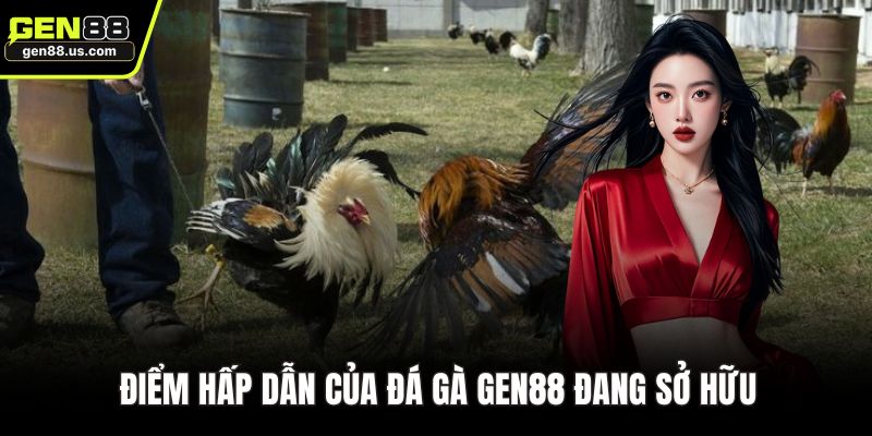Điểm hấp dẫn của đá gà GEN88 đang sở hữu