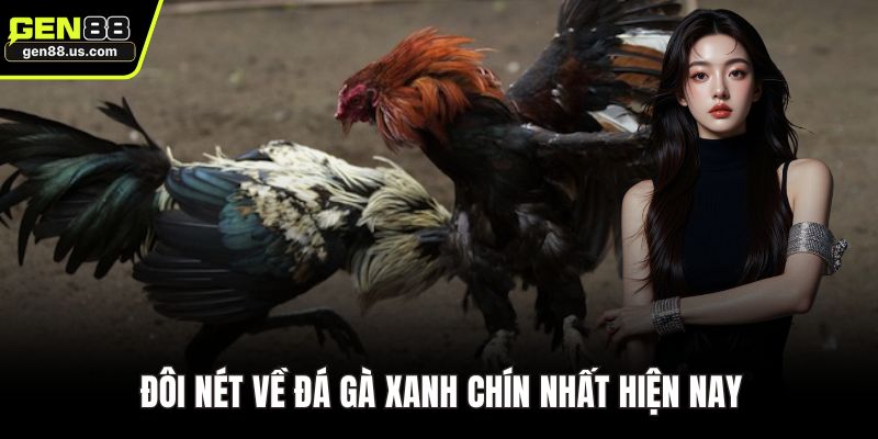 Đôi nét về đá gà xanh chín nhất hiện nay
