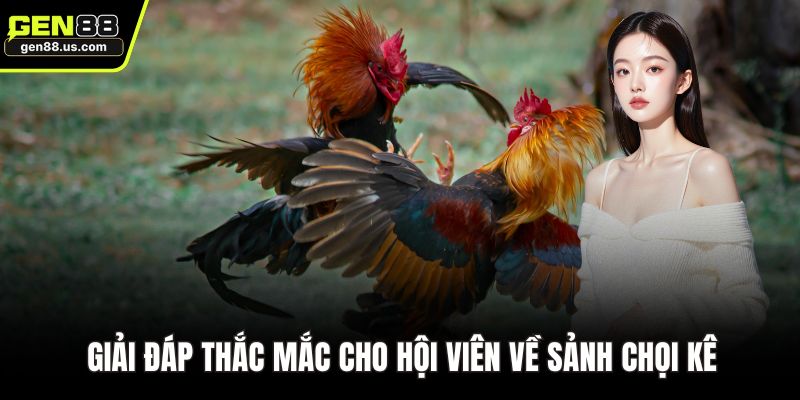 Giải đáp thắc mắc cho hội viên về sảnh chọi kê