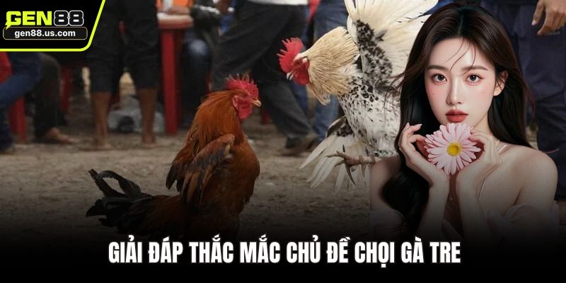 Giải đáp thắc mắc chủ đề chọi gà tre