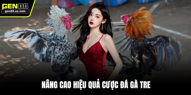 Nâng cao hiệu quả cược đá gà tre