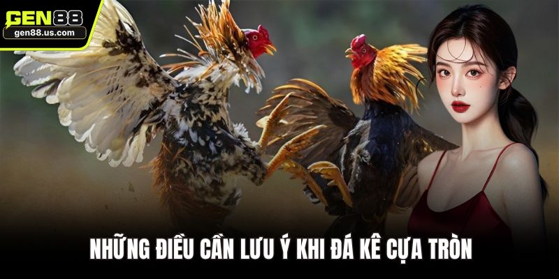 Những điều cần lưu ý khi đá kê cựa tròn