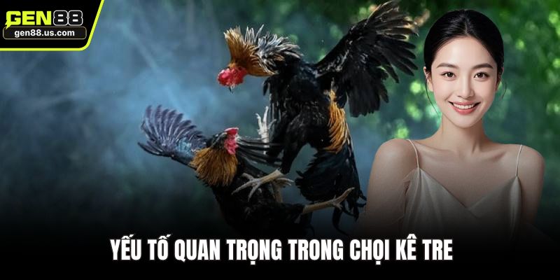 Yếu tố quan trọng trong chọi kê tre